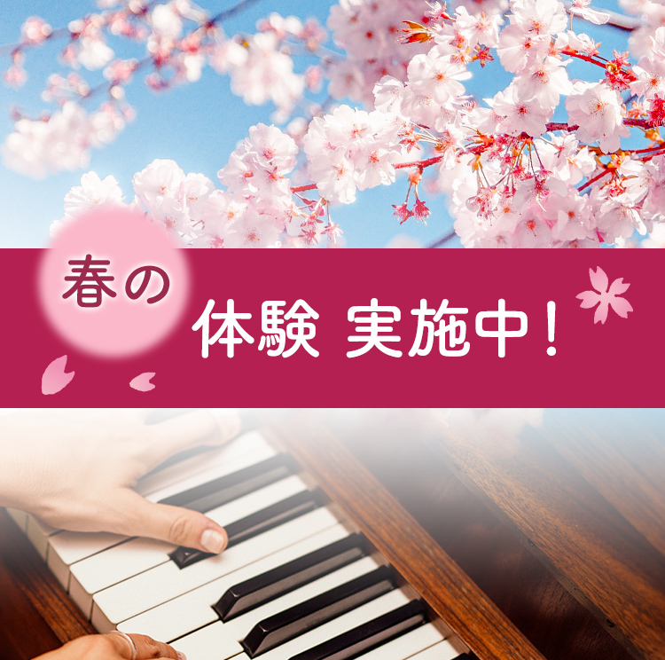 春の体験入学はじまりました